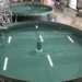 Vista de los estanques de cultivo del proyecto Mirai Salmon, tecnología que la compañía japonesa proyecta llevar a mercados internacionales. Foto: Nichimo Co., Ltd.