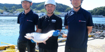 Nissui duplicará su producción de salmón coho en Iwate mediante de infraestructura clave