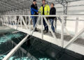 Texto ALT imagen:
Brimer desarrolla soluciones compuestas para proyectos de acuicultura terrestre en Noruega. Foto: Brimer