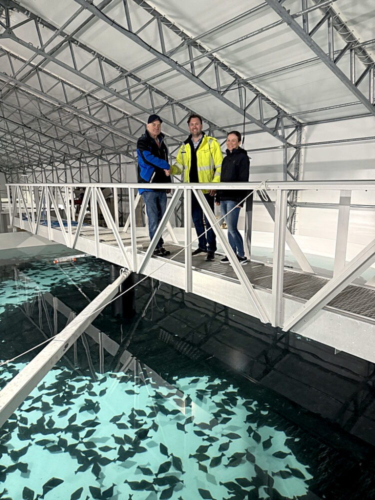 Acuicultura terrestre toma fuerza: Brimer suma contratos para proyectos de bacalao, halibut y salmón en Noruega