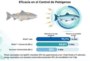 Nueva estrategia vacunal muestra resultados prometedores contra Caligus y SRS en salmón del Atlántico