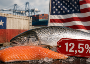 Consejo del Salmón respalda estrategia para revertir arancel de 12,5% en Estados Unidos.