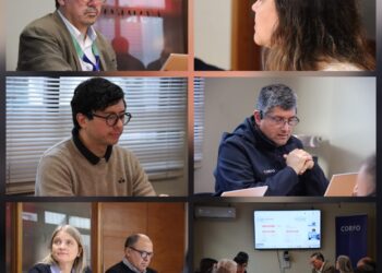 Corfo pone el acelerador en Los Lagos: nuevas iniciativas apuntan a calidad, proveedores y economía circular