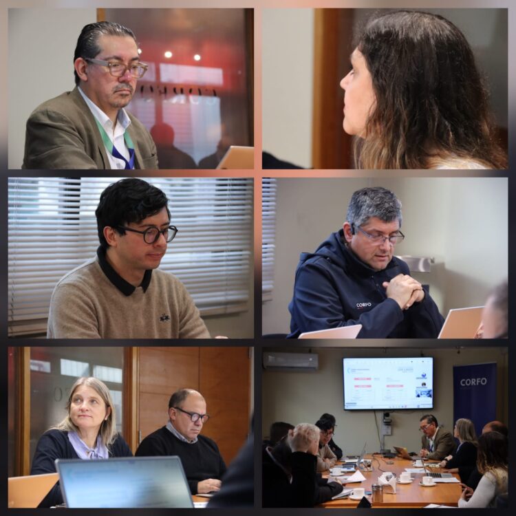 Corfo pone el acelerador en Los Lagos: nuevas iniciativas apuntan a calidad, proveedores y economía circular