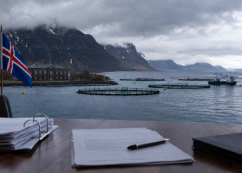 Islandia vuelve a postergar su ley acuícola: falta de acuerdo abre nueva incertidumbre para el crecimiento del salmón