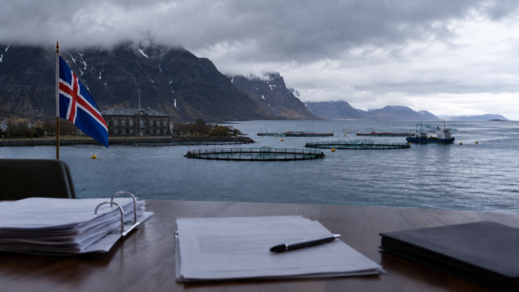 Islandia vuelve a postergar su ley acuícola: falta de acuerdo abre nueva incertidumbre para el crecimiento del salmón