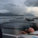Cómo la normativa se estructura frente a la amenaza de El Niño