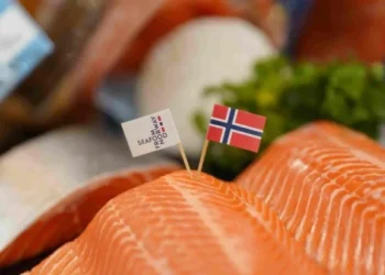 Precio del salmón noruego repunta, pero la rentabilidad sigue en alerta
