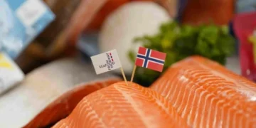 Precio del salmón noruego repunta, pero la rentabilidad sigue en alerta