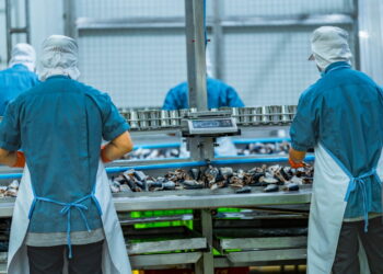 Las claves del nuevo instructivo ambiental que regula a las plantas de alimento y harina de pescado