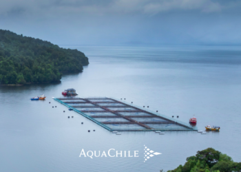 AquaChile presenta reporte de impacto económico en Aysén