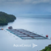 AquaChile presenta reporte de impacto económico en Aysén