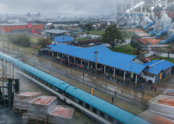 Tren salmonero toma velocidad: EFE proyecta movilizar 100 contenedores semanales desde Frutillar