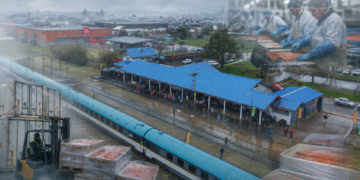 Tren salmonero toma velocidad: EFE proyecta movilizar 100 contenedores semanales desde Frutillar