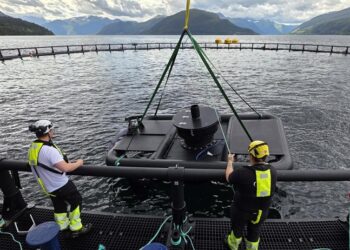 Créditos: ScaleAQ y Nærøysund Aquaservice.