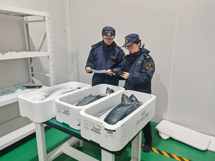 Cargamento de salmón islandés ingresado por el aeropuerto de Hangzhou en China