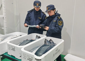 Cargamento de salmón islandés ingresado por el aeropuerto de Hangzhou en China
