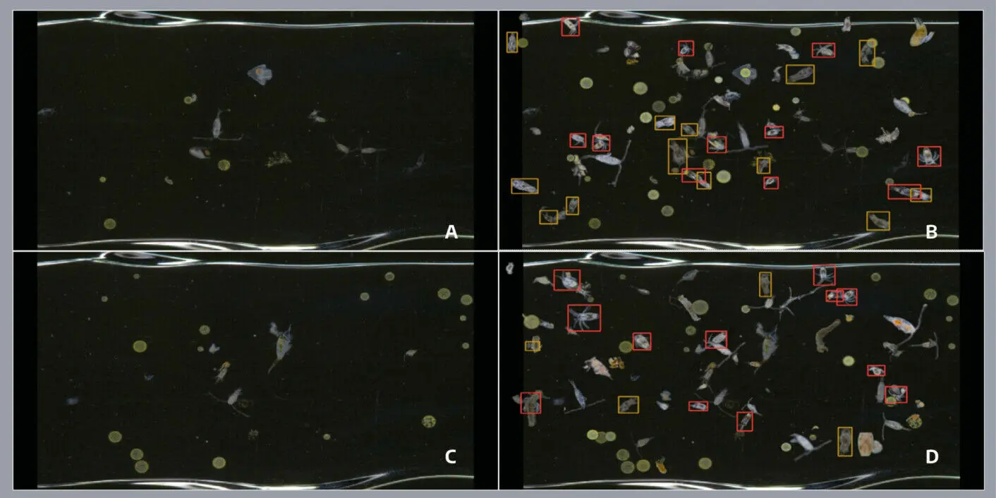 Cuadro comparativo entre microfotografias reales y composiciones de datos sinteticos para entrenamiento de IA