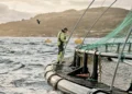 Centro de cultivo de salmón de Grieg Seafood en Rogaland, Noruega.