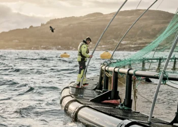 Centro de cultivo de salmón de Grieg Seafood en Rogaland, Noruega.