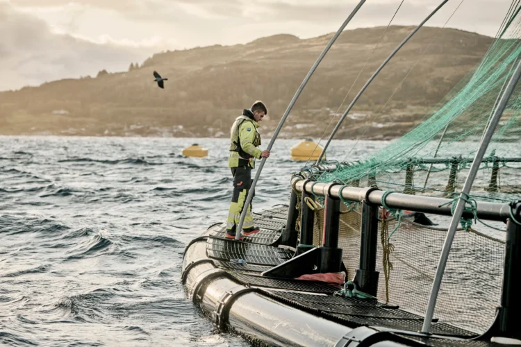 Centro de cultivo de salmón de Grieg Seafood en Rogaland, Noruega.