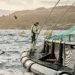 Centro de cultivo de salmón de Grieg Seafood en Rogaland, Noruega.