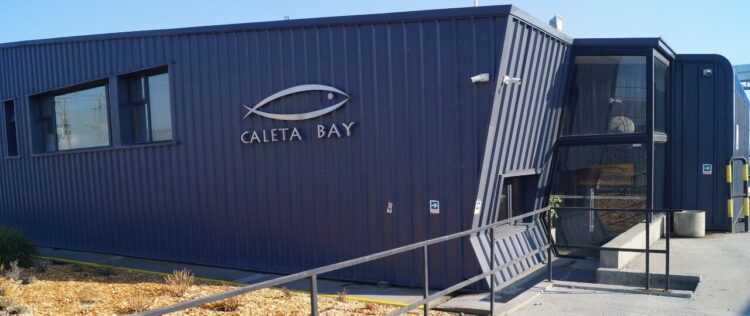 Caleta Bay