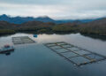 Centro de cultivo Williams de Salmones Camanchaca. Créditos: Salmones Camanchaca.