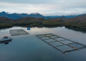 Centro de cultivo Williams de Salmones Camanchaca. Créditos: Salmones Camanchaca.