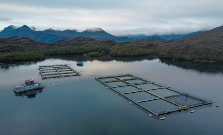 Centro de cultivo Williams de Salmones Camanchaca. Créditos: Salmones Camanchaca.