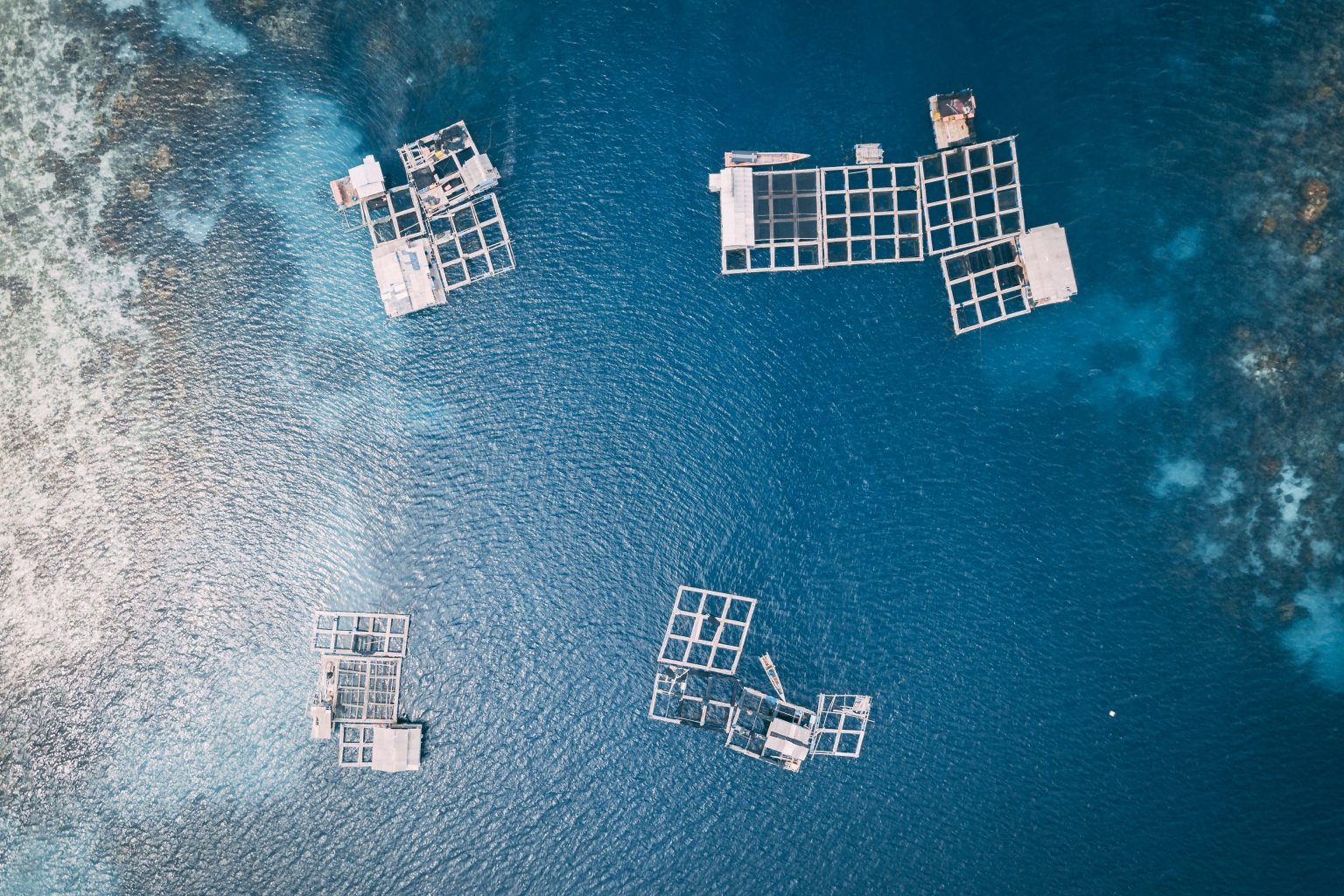 Vista aérea de centros de cultivo y granjas marinas de acuicultura en la costa de China