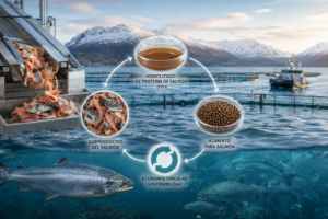 Del residuo al alimento: estudio a escala comercial demuestra el potencial del hidrolizado de subproductos de salmón
