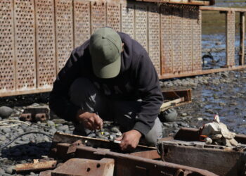 Trabajador realiza labores manuales en una zona costera de la Región de Los Lagos