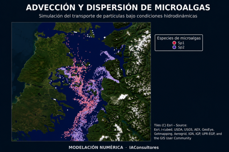 La modelación predictiva FAN permite proyectar hasta cinco días el desplazamiento de microalgas y anticipar riesgos para centros de cultivo de salmonicultura. Imagen: IAC