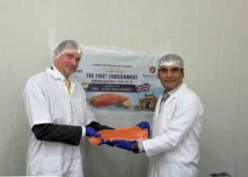 Caja de exportación con salmón fresco de la empresa Bakkafrost listo para distribución internacional.