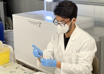 Universidad de Chile desarrolla tecnología que aumenta en 34% la biodisponibilidad de oxitetraciclina y mejora su administración oral en salmónidos. Foto: Favet-U. de Chile