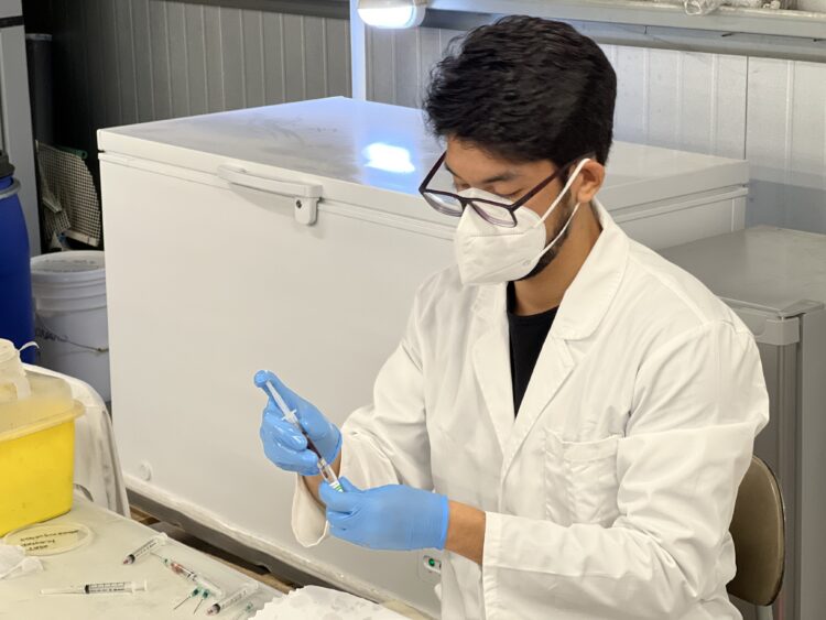 Universidad de Chile desarrolla tecnología que aumenta en 34% la biodisponibilidad de oxitetraciclina y mejora su administración oral en salmónidos. Foto: Favet-U. de Chile