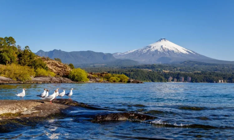 Lago Villarrica. Créditos: MMA.