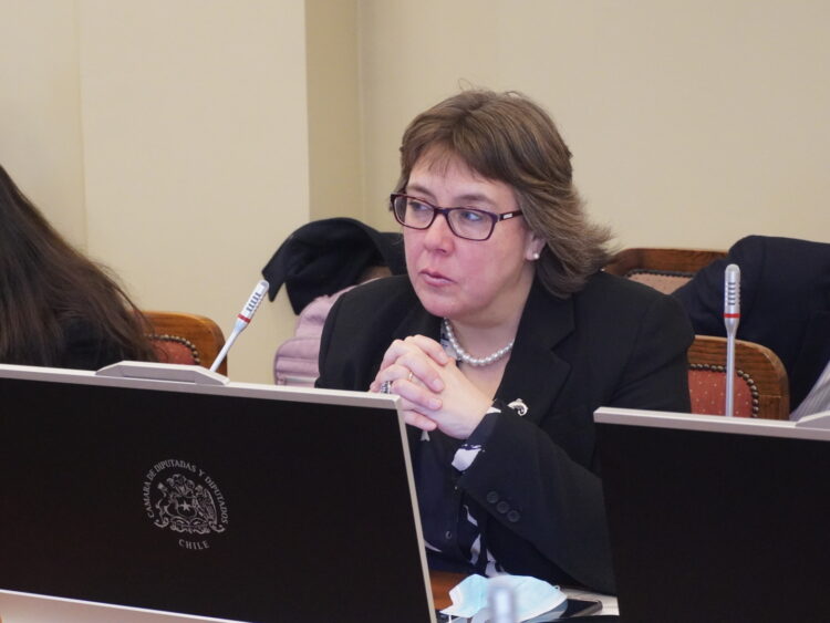 oreto Seguel exponiendo ante la Comisión de Pesca y Acuicultura de la Cámara de Diputadas y Diputados.