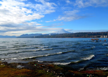 Lago Villarrica. Créditos: MMA.
