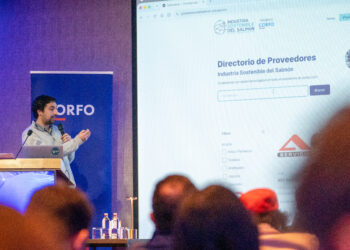 Más de 400 proveedores caracterizados: así funciona por dentro ProveedoresdelSalmon.cl. Foto: InfoSALMON