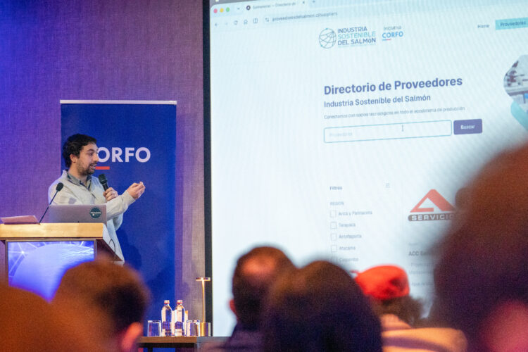 Más de 400 proveedores caracterizados: así funciona por dentro ProveedoresdelSalmon.cl. Foto: InfoSALMON