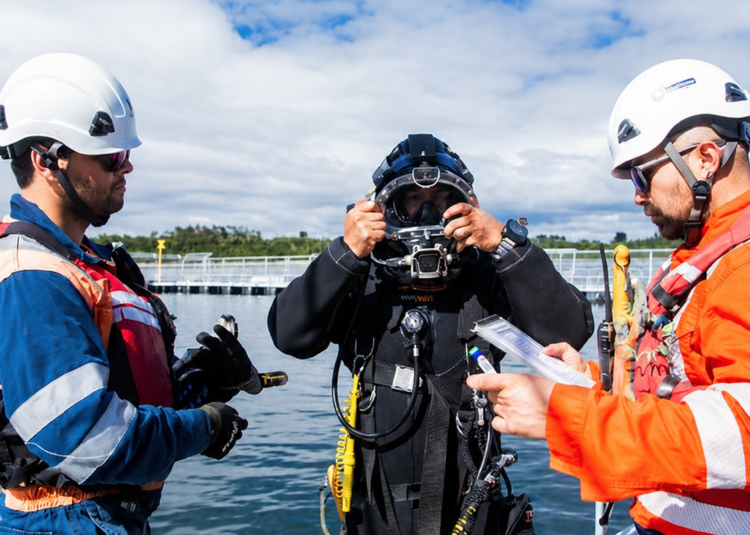 Multi X incorporará un tercer barco Diving X en septiembre de 2026. Foto: Multi X