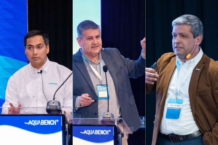 Cermaq Chile, Multi X y Blumar compartieron los aprendizajes de 2016 y las medidas que preparan ante El Niño 2026/2027 y el riesgo de FAN.