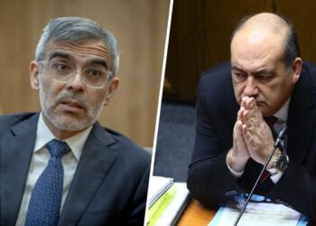 abogados Luis Cordero y Patricio Zapata