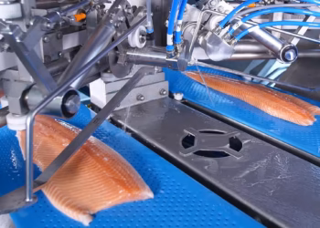 Proceso automatizado de fileteado de salmón en una línea BAADER. Foto: BAADER.
