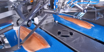 Proceso automatizado de fileteado de salmón en una línea BAADER. Foto: BAADER.