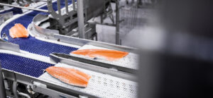 Filetes de salmón avanzan por una línea de procesamiento. 