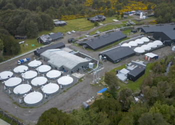 Piscicultura de reproductores y genética de la compañía en la comuna de Chonchi. Foto. InfoSALMON