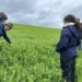 Multi X y BioMar impulsan un piloto de agricultura regenerativa para la salmonicultura, con potencial de escalar hasta 20.000 hectáreas en el sur de Chile. Foto: BioMar